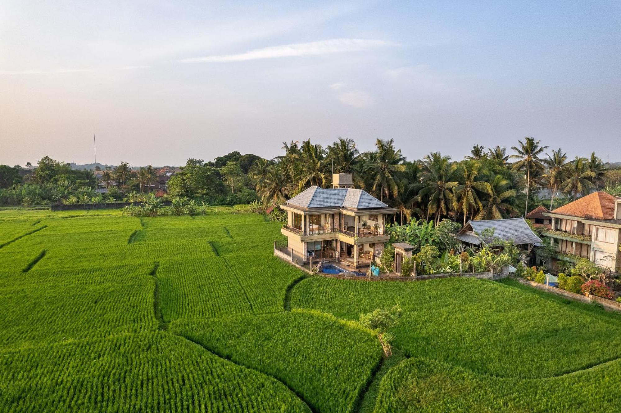 Gynandha Ubud Cottage Eksteriør billede