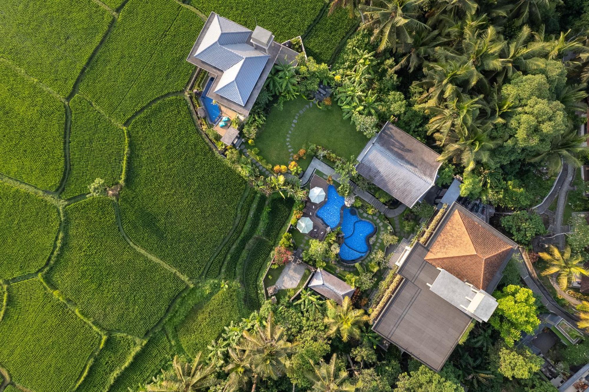 Gynandha Ubud Cottage Eksteriør billede